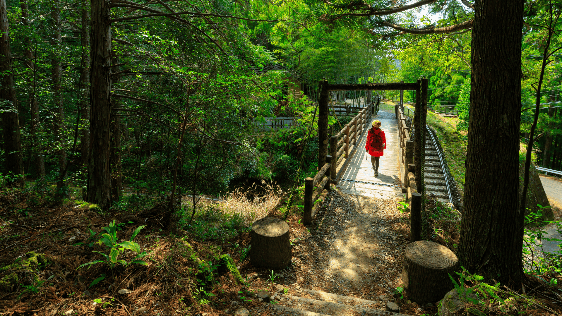 6 Days The Essential of Kumano Kodo